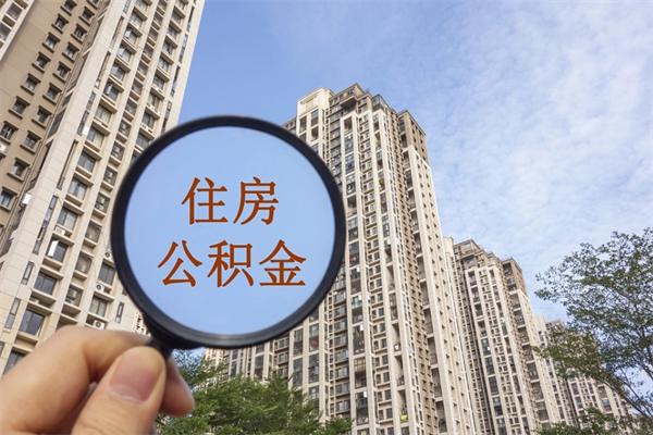 鹤岗如何把封存离职公积金全部取来（离职封存公积金提取业务）